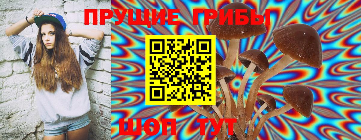 Галлюциногенные грибы Magic Shrooms Ревда