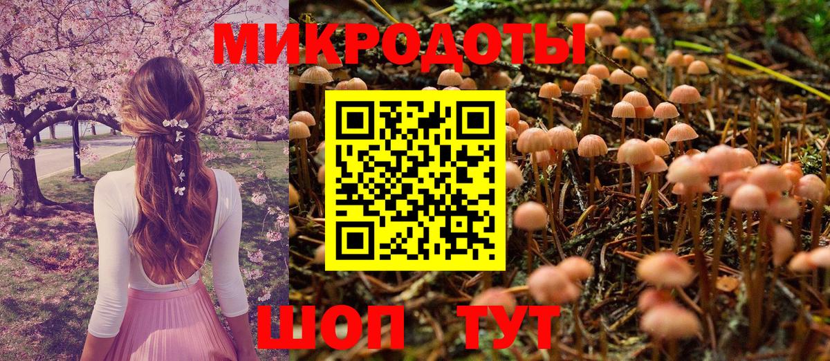 Ревда  Галлюциногенные грибы Psilocybine cubensis  Псилоцибиновые грибы Cubensis  Вход с VPN 